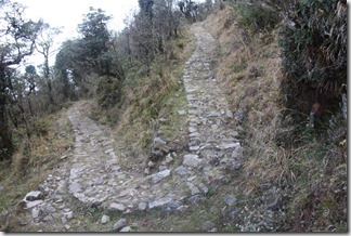 Darjeeling - Sandakphu Nov 2010 150